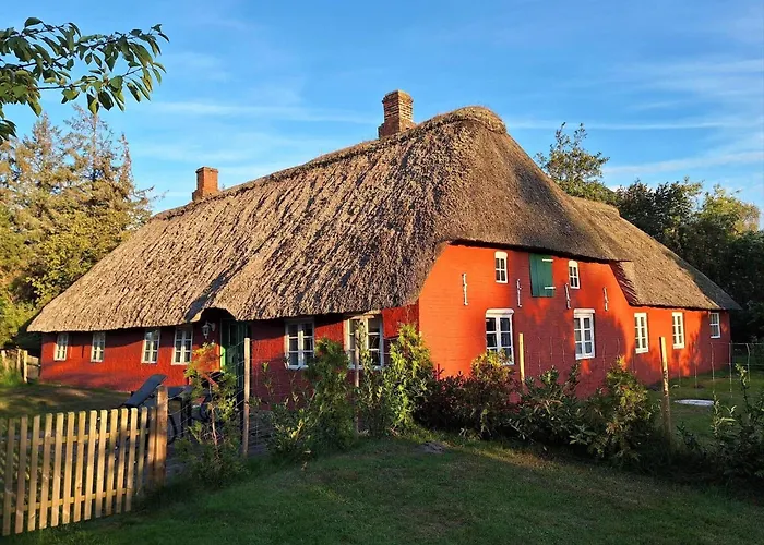 0108-romo-strommen-18